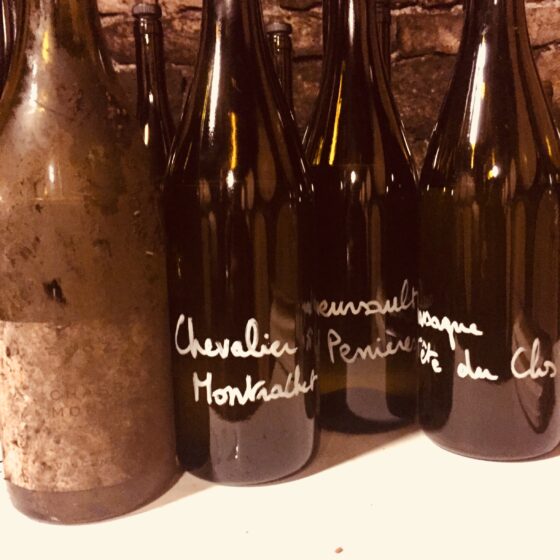 Traveling Somm, Vincent Dancer, Chassagne Montrachet, bottles - Wine4Food